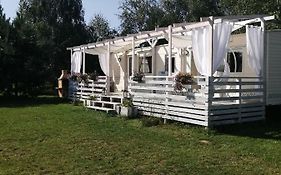 Domek w brzózkach